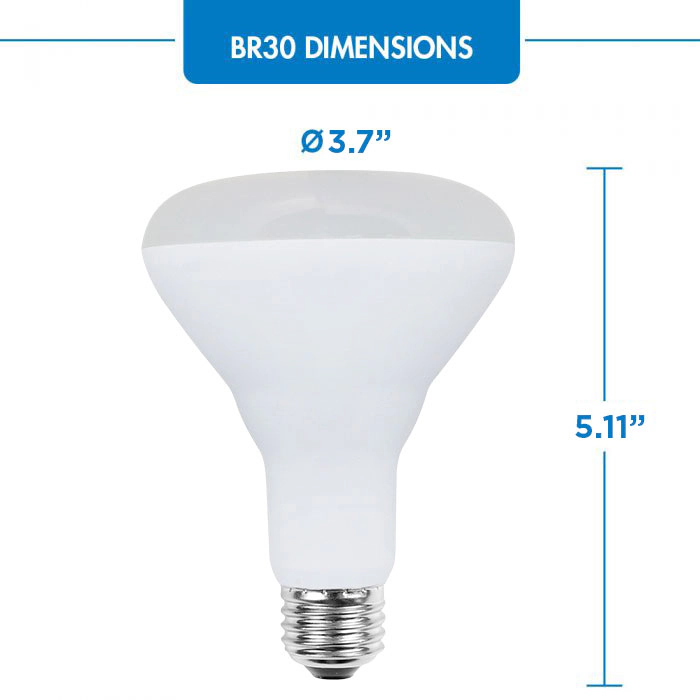 Viribright® BR30 LED Bulb, E26, Screw Base, 65W Equivalent, 700 Lumens, Dimmable, CEC, 90+ CRI, Daylight 5000K