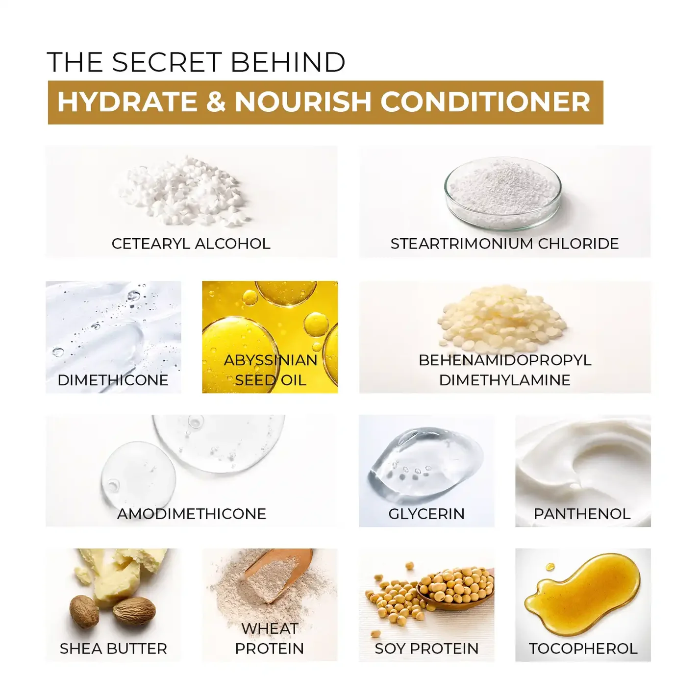 Skin Centrick Hydrate & Nourish Conditioner for Frizzy Hair with Abyssinian Seed Oil & Shea Butter