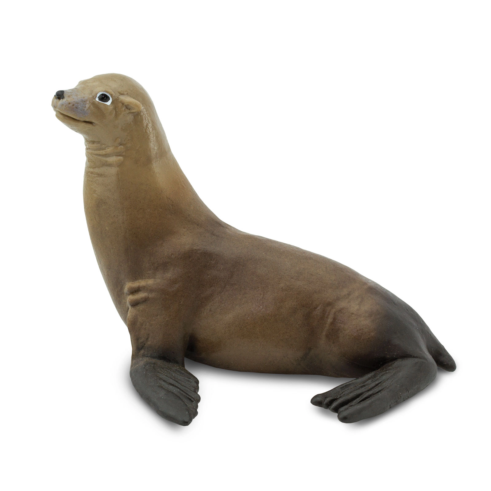 Safari Ltd. - Sea Lion Kids Toy Figure