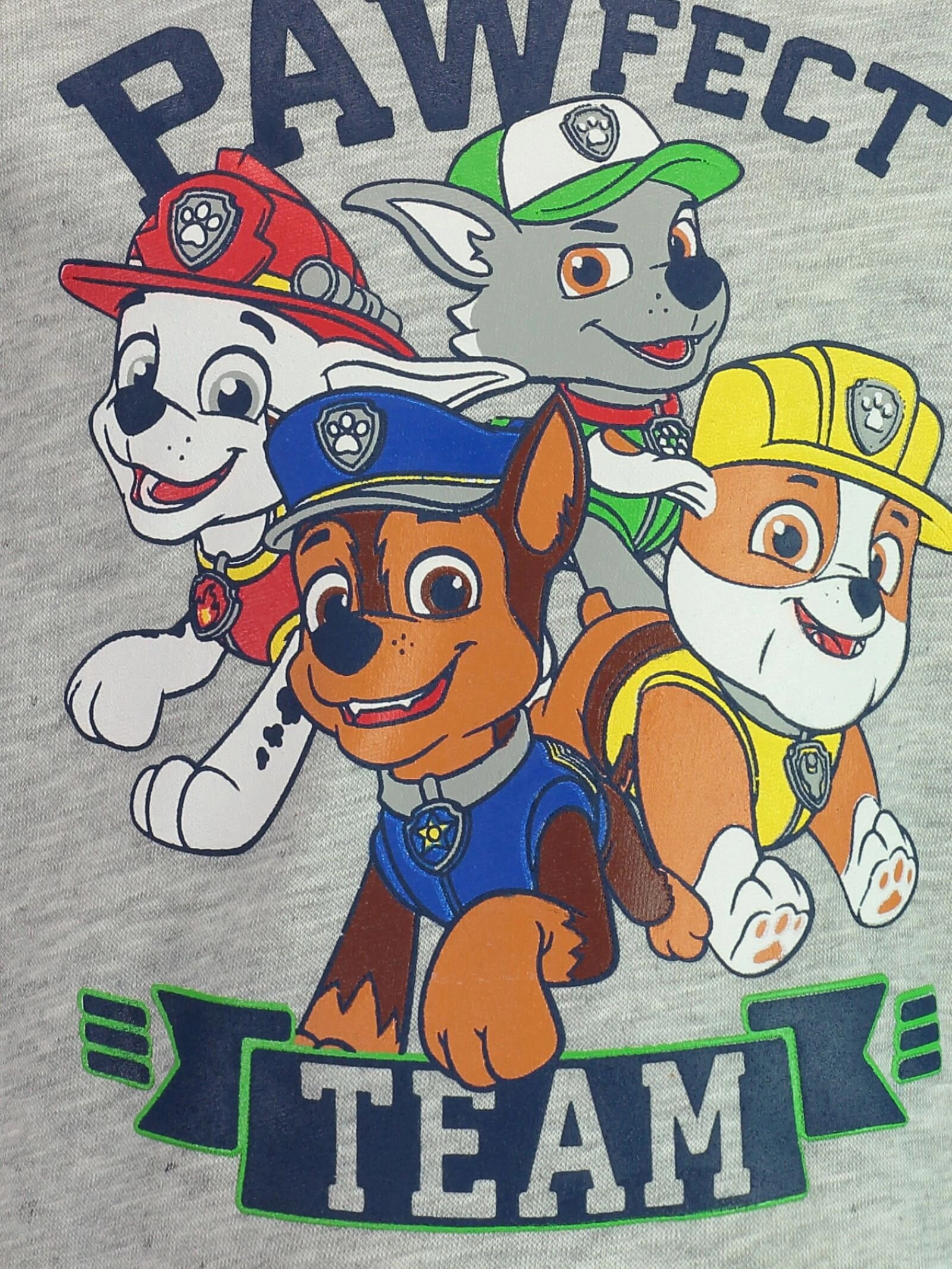 Nickelodeon Paw Patrol Boys' Fleece Sweatshirt