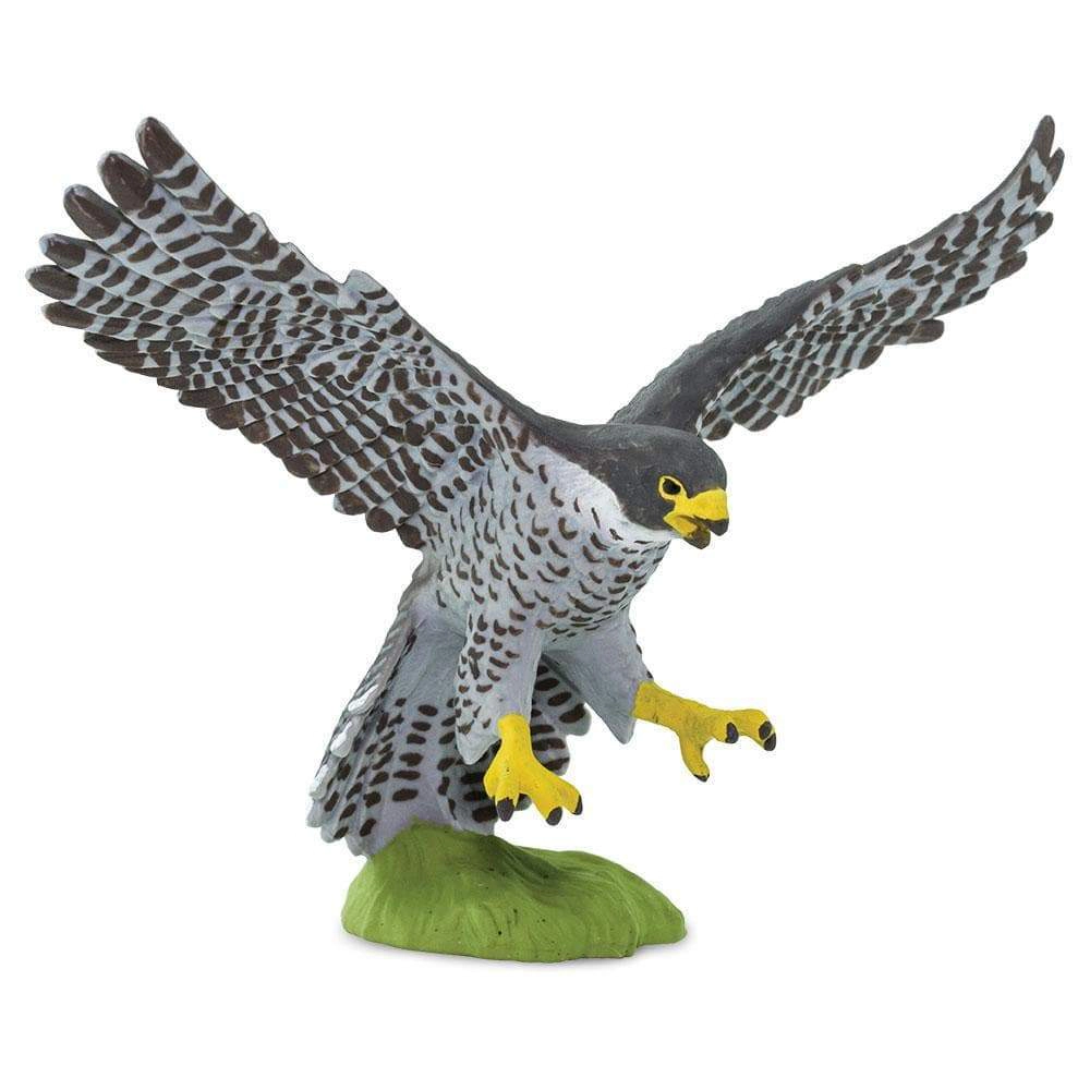 Safari Ltd. - Peregrine Falcon Kids Toy Figure