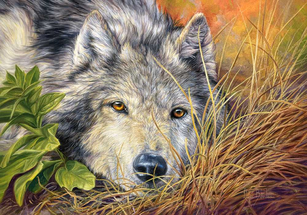 CASTORLAND 500 Piece Jigsaw Puzzle, Pure Soul, Animal puzzle, Wolf, Nature puzzle, Adult Puzzles, Castorland B-53285