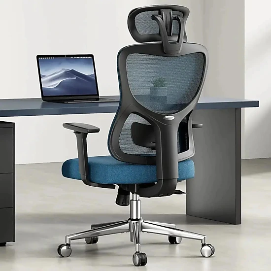 Platinum-Level Office Chairs Ergonomic Mesh Office Chair with ...