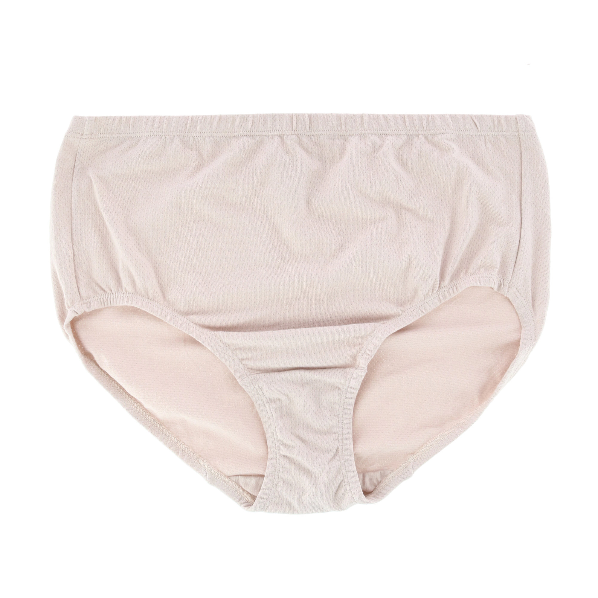 Fruit of the Loom Women's Plus Cotton-Mesh Brief Underwear (6 Pack)