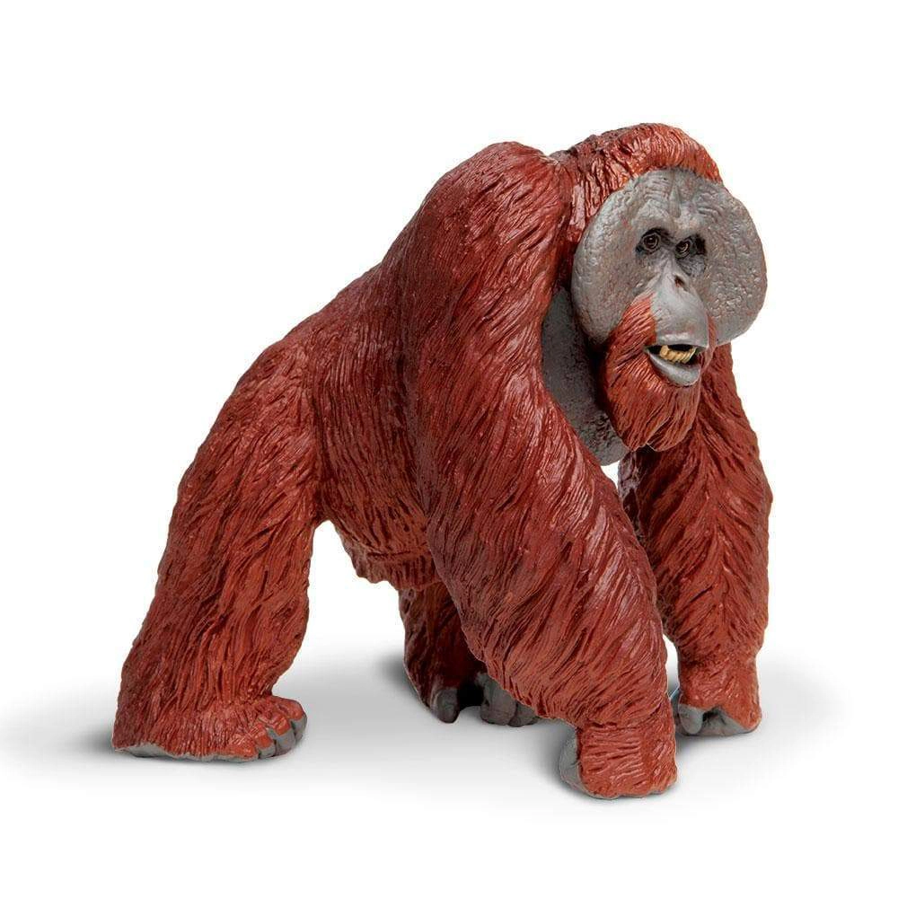 Safari Ltd. - Bornean Orangutan Kids Toy Figure