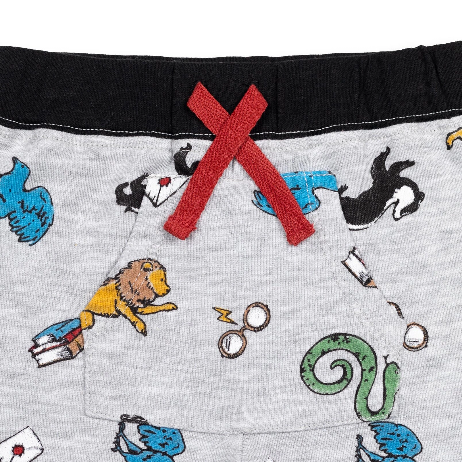 Harry Potter Baby Boys' 2-Pack Jogger Pants
