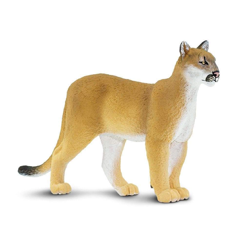 Safari Ltd. - Florida Panther Kids Toy Figure