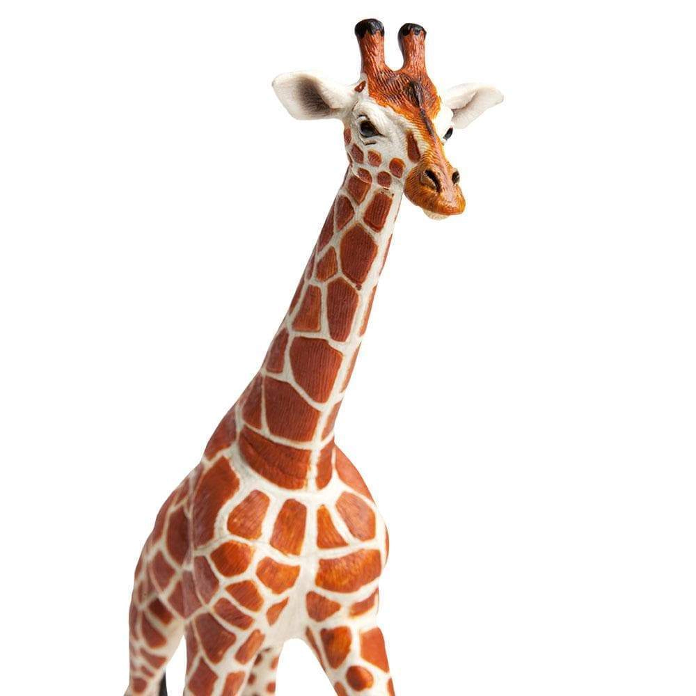Safari Ltd. - Reticulated Giraffe Kids Toy Figure