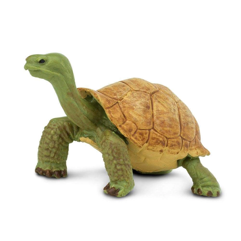 Safari Ltd. - Giant Tortoise Kids Toy Figure