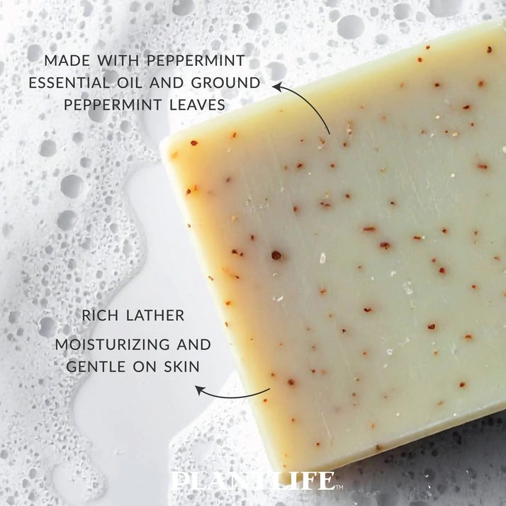 Plantlife Peppermint Aromatherapy Herbal Soap