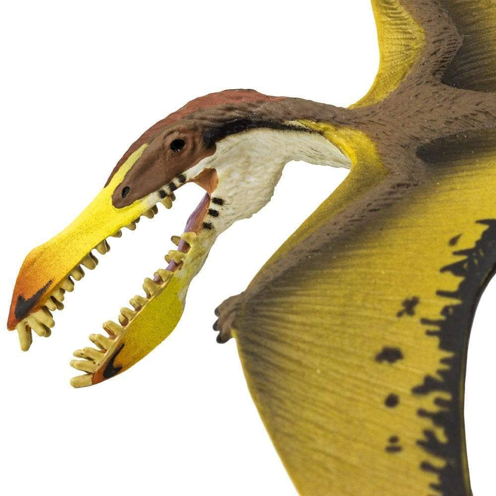 Safari Ltd. - Pterosaur Kids Prehistoric/Dinosaur Toy Figure
