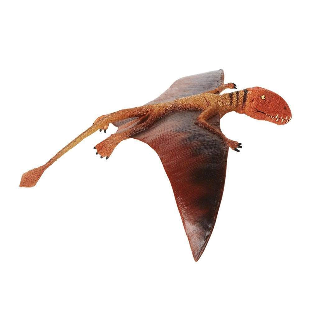 Safari Ltd. - Dimorphodon Kids Prehistoric/Dinosaur Toy Figure