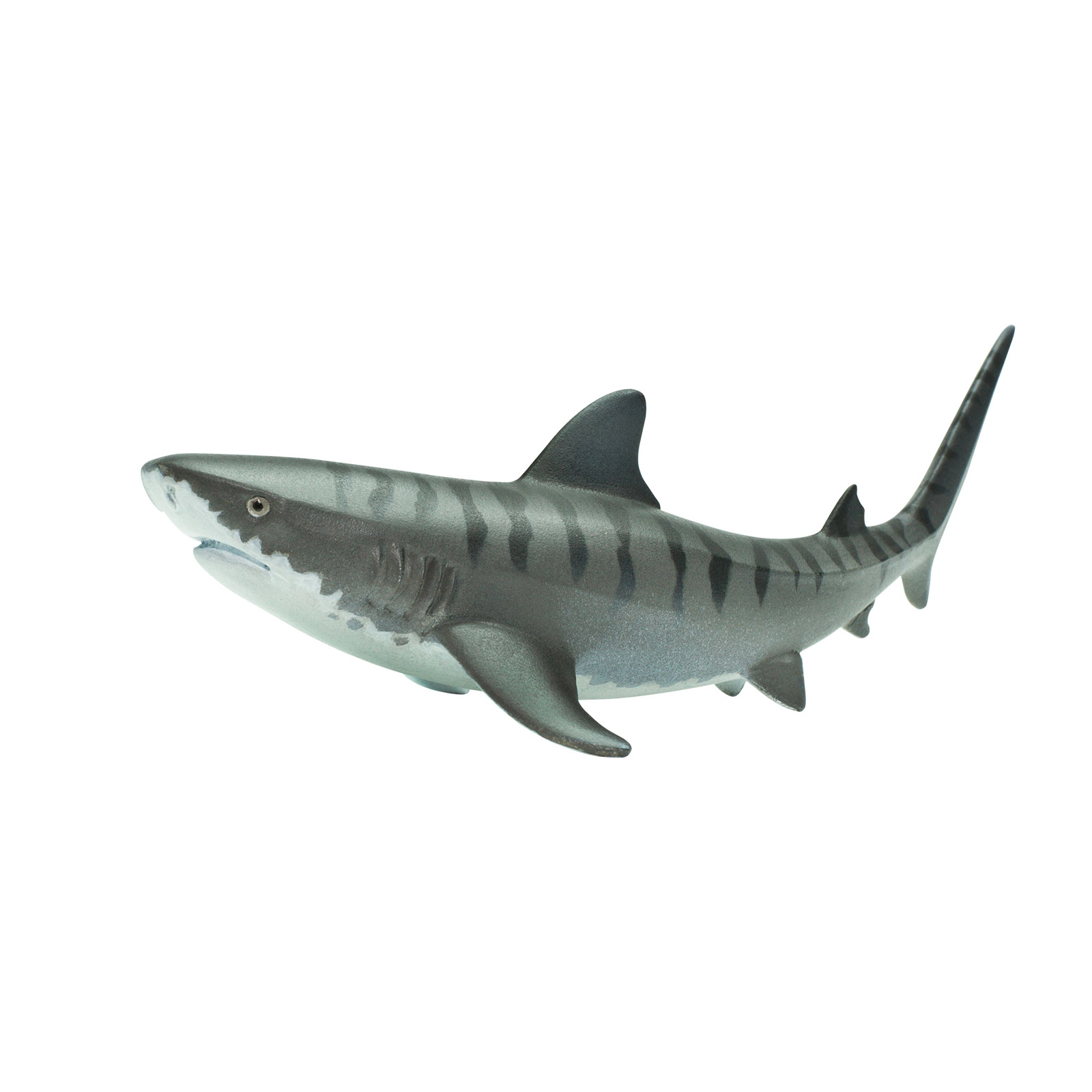 Safari Ltd. - Tiger Shark Kids Toy Figure
