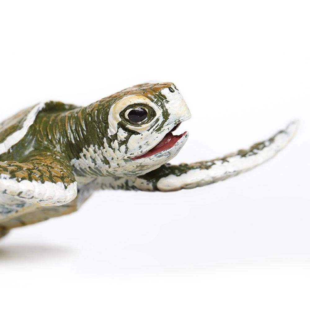 Safari Ltd. - Kemp's Ridley Sea Turtle Baby Kids Toy Figure