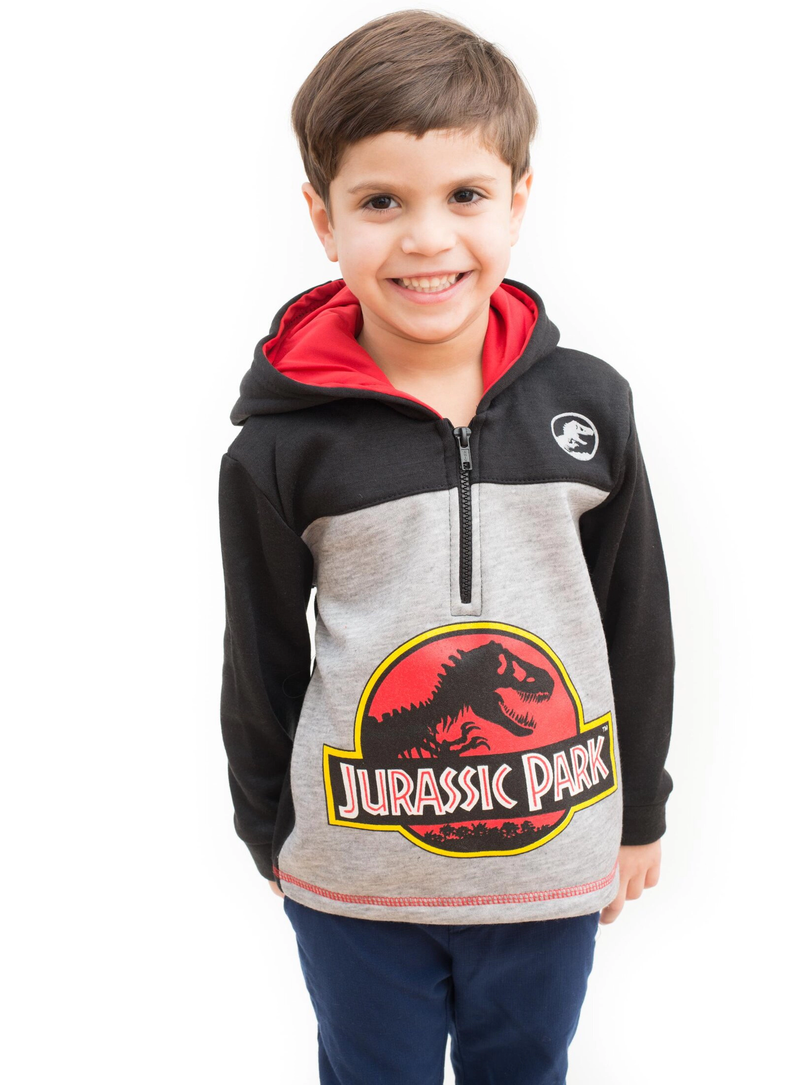 Jurassic World Park T-Rex Boys' Fleece Quarter-Zip Hoodie