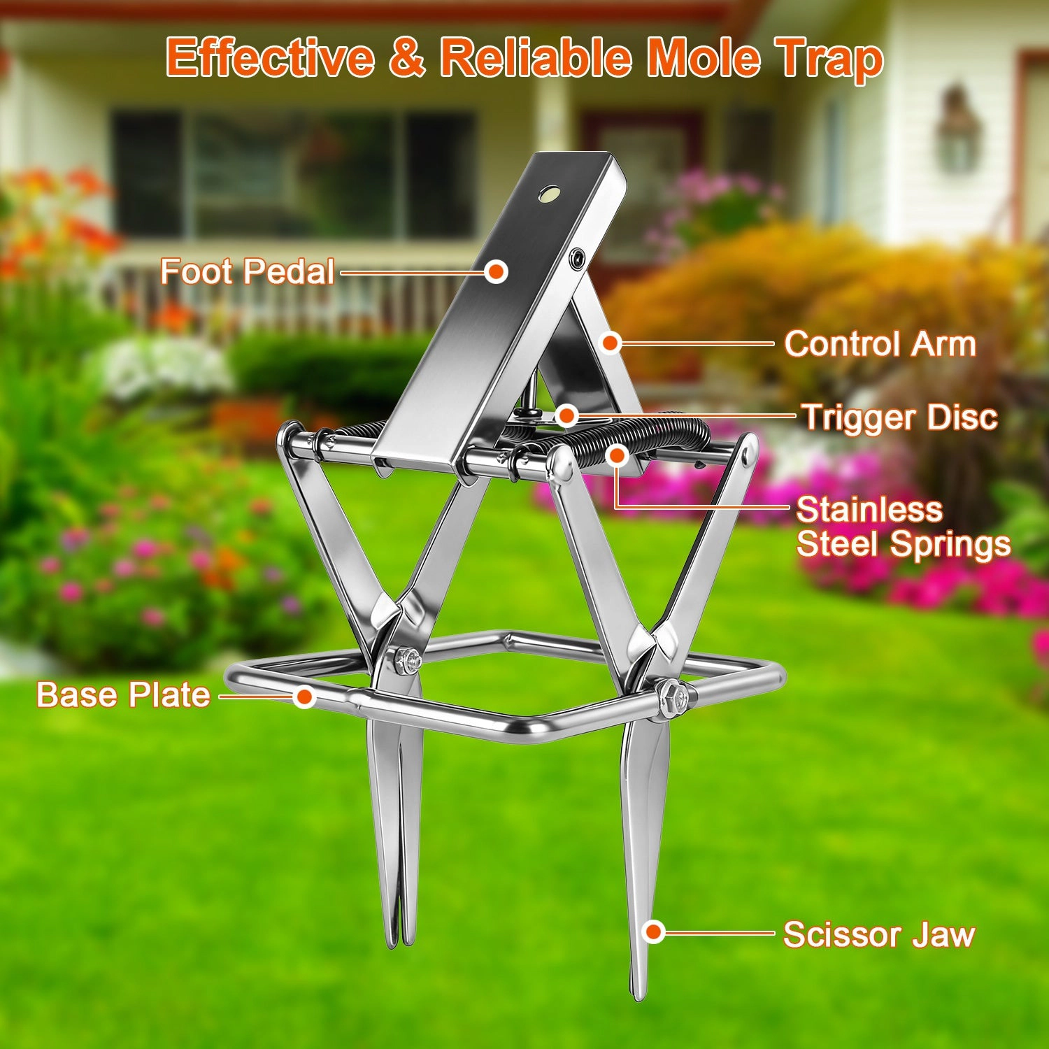 GBruno 2-Pack Metal Mole Scissor Traps
