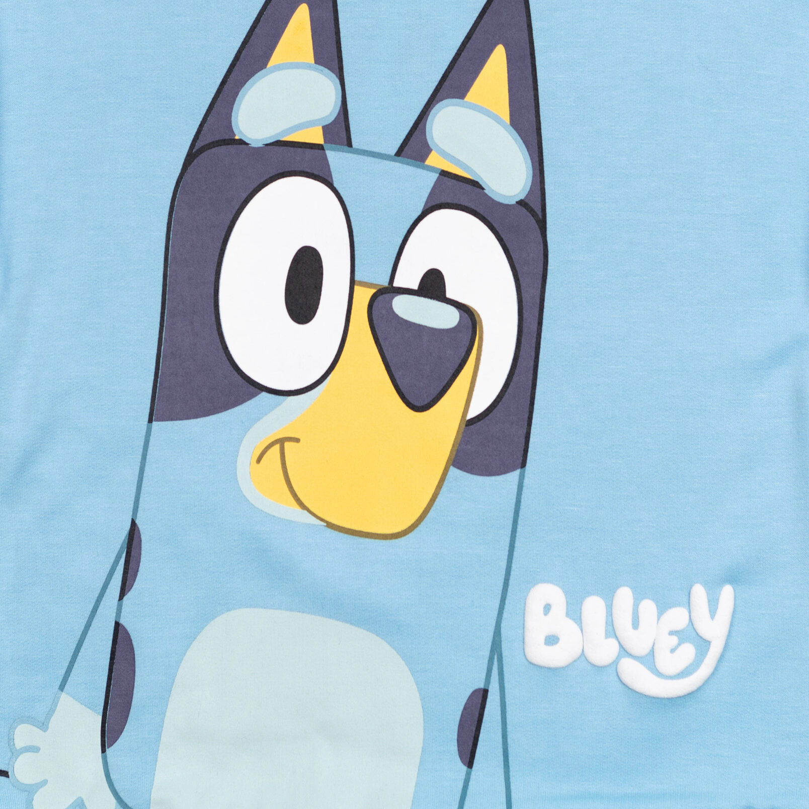 Bluey Boys' Fleece 2-Piece Hoodie and Joggers Set