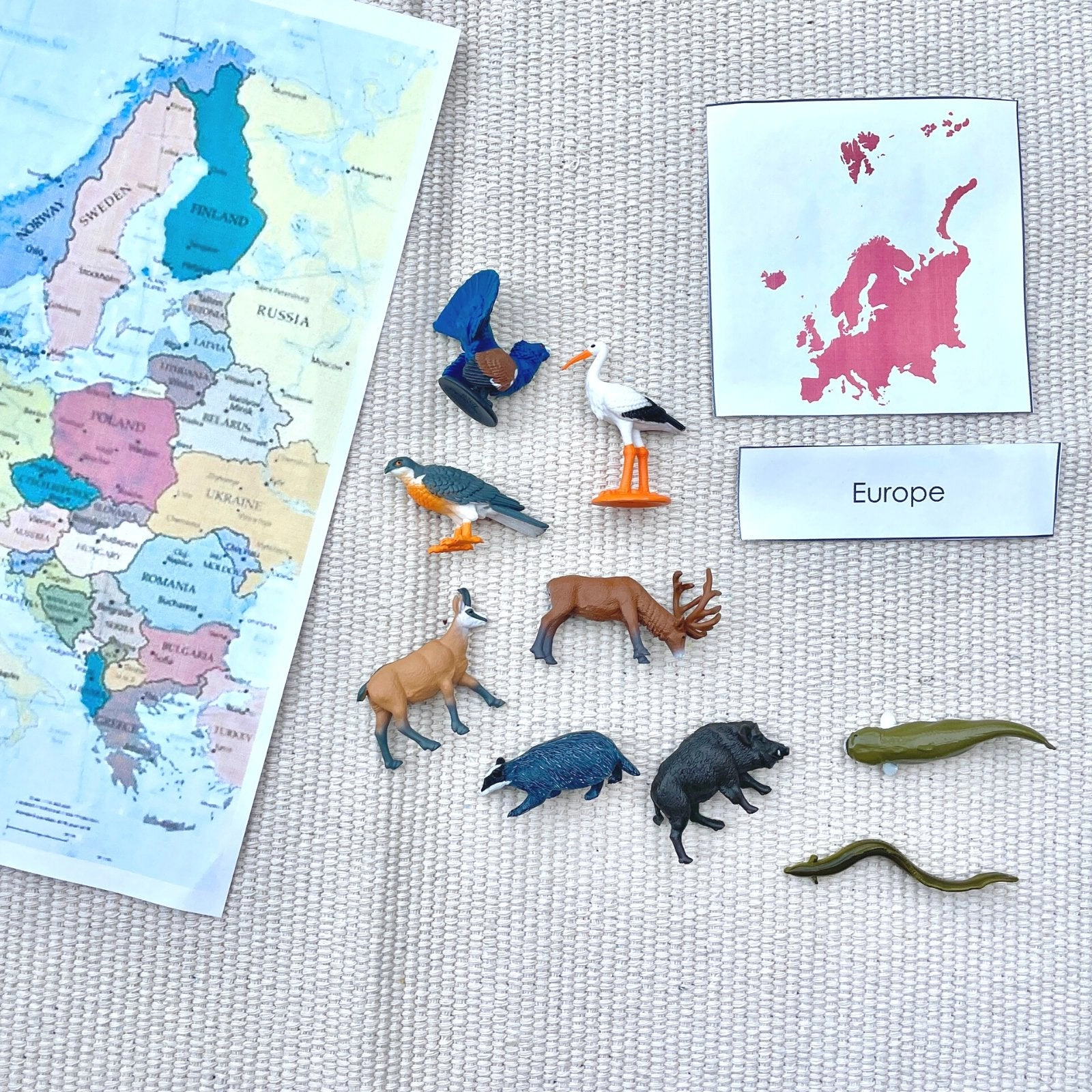 Safari Ltd. - European Animals TOOB - contains 9 Mini Figurines