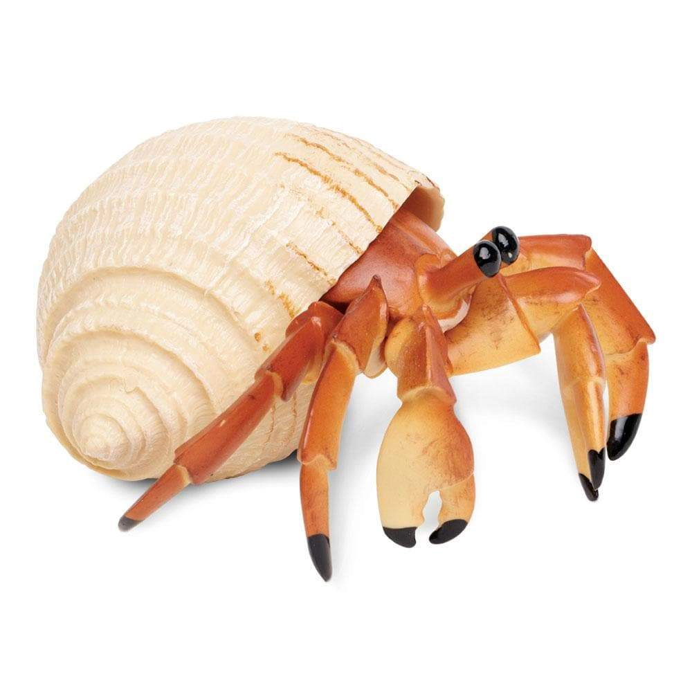 Safari Ltd. - Hermit Crab Kids Toy Figure