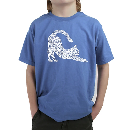 LA Pop Art Boy's Word Art T-Shirt - Stretching Cat