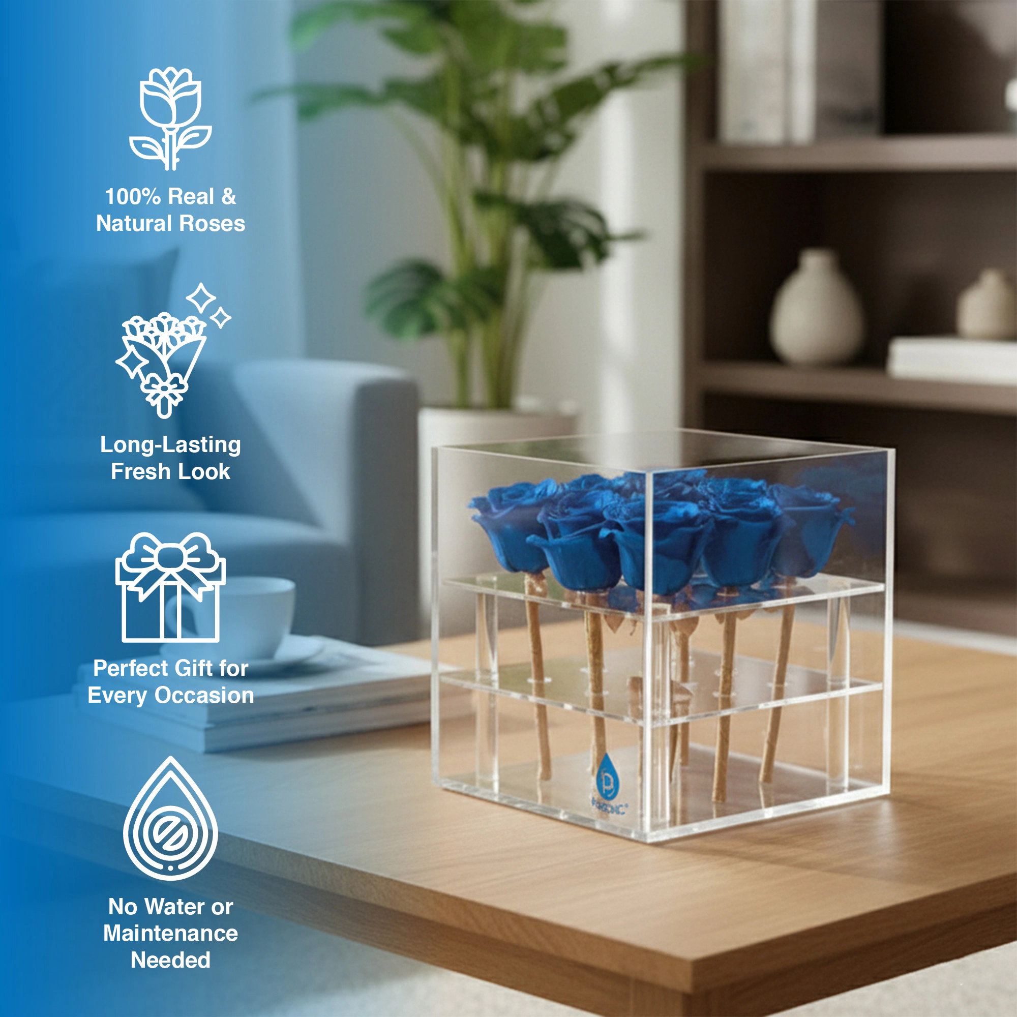 Pursonic Unisex Decorative Preserved 9 Roses Acrylic Box Gift Set
