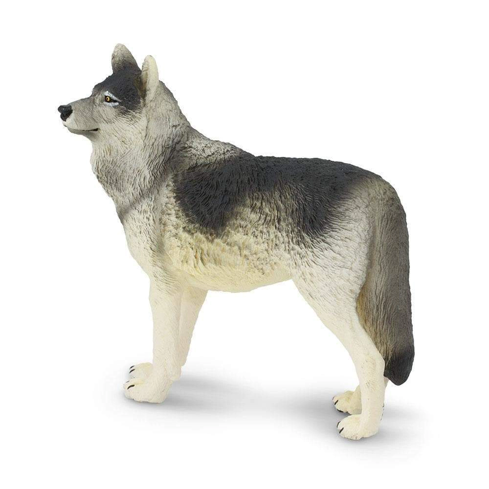 Safari Ltd. - Gray Wolf Kids Toy Figure