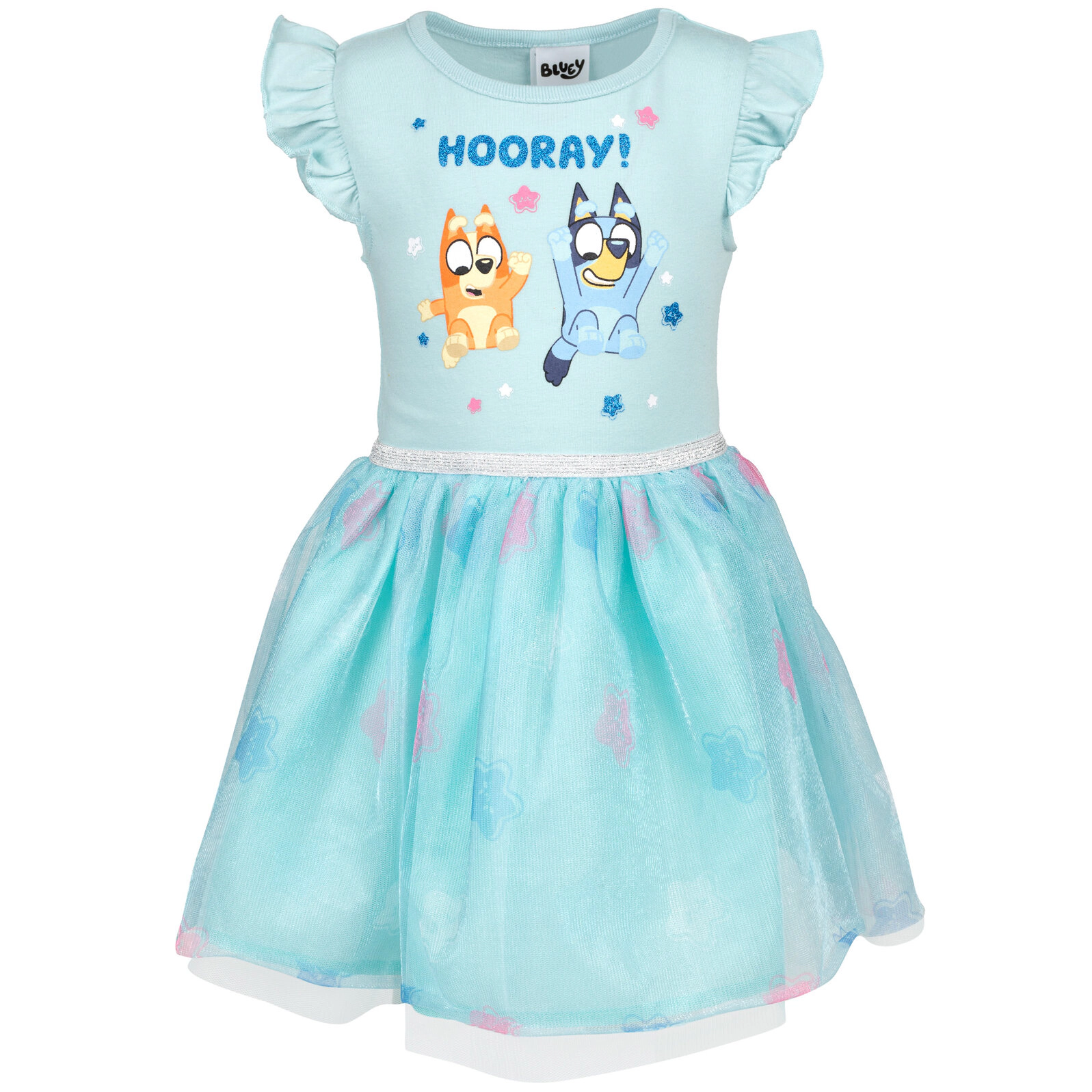 Bluey Girls' Short Sleeve Tulle Tutu Dress
