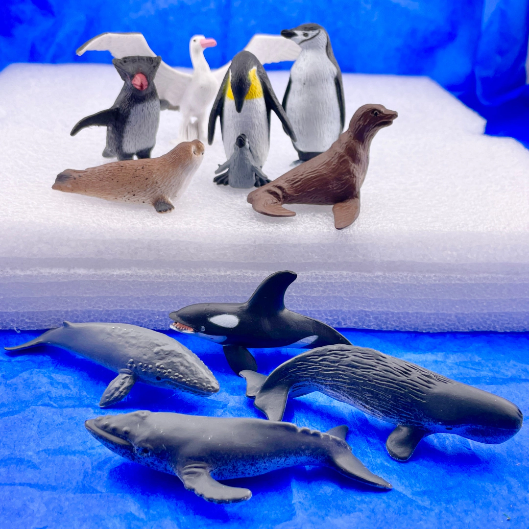 Safari Ltd. - Antarctica TOOB - contains 10 Mini Figurines