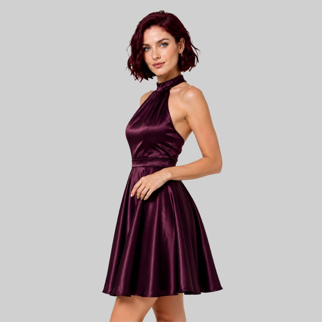 Artyska Women's Satin High Neck Fit & Flare Mini Dress with Pockets