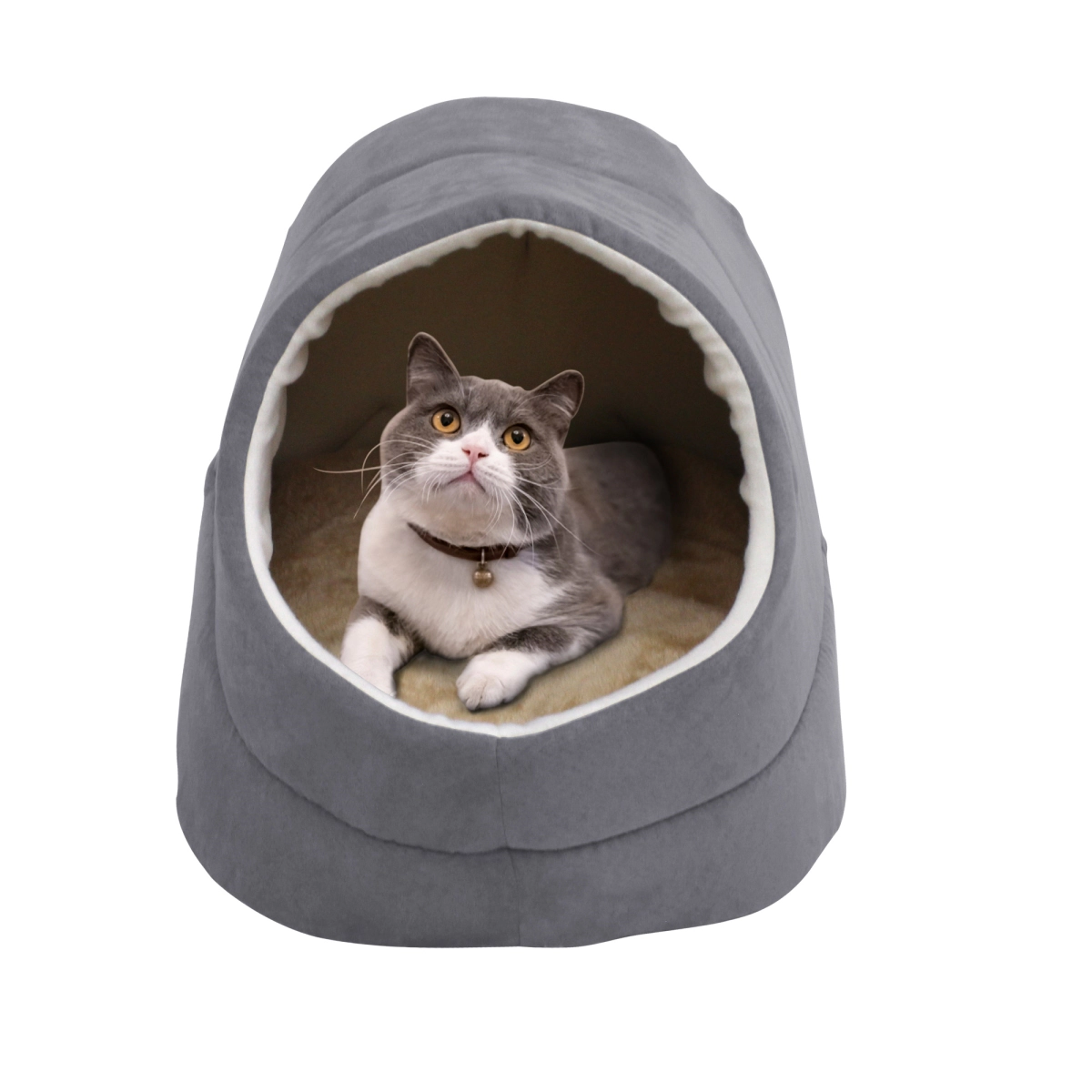 212 Main Cave Covered Cat & Dog Bed
