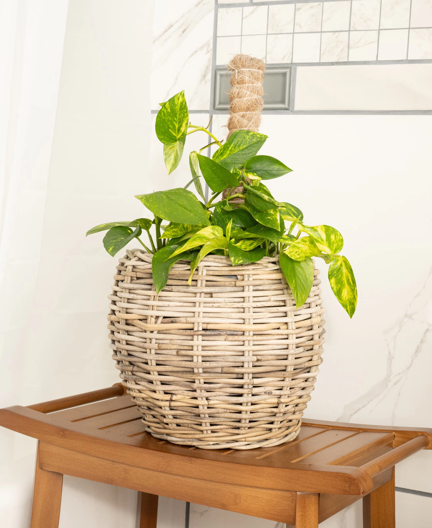 Saboga Home™ Round Belly Planter with Plastic Insert