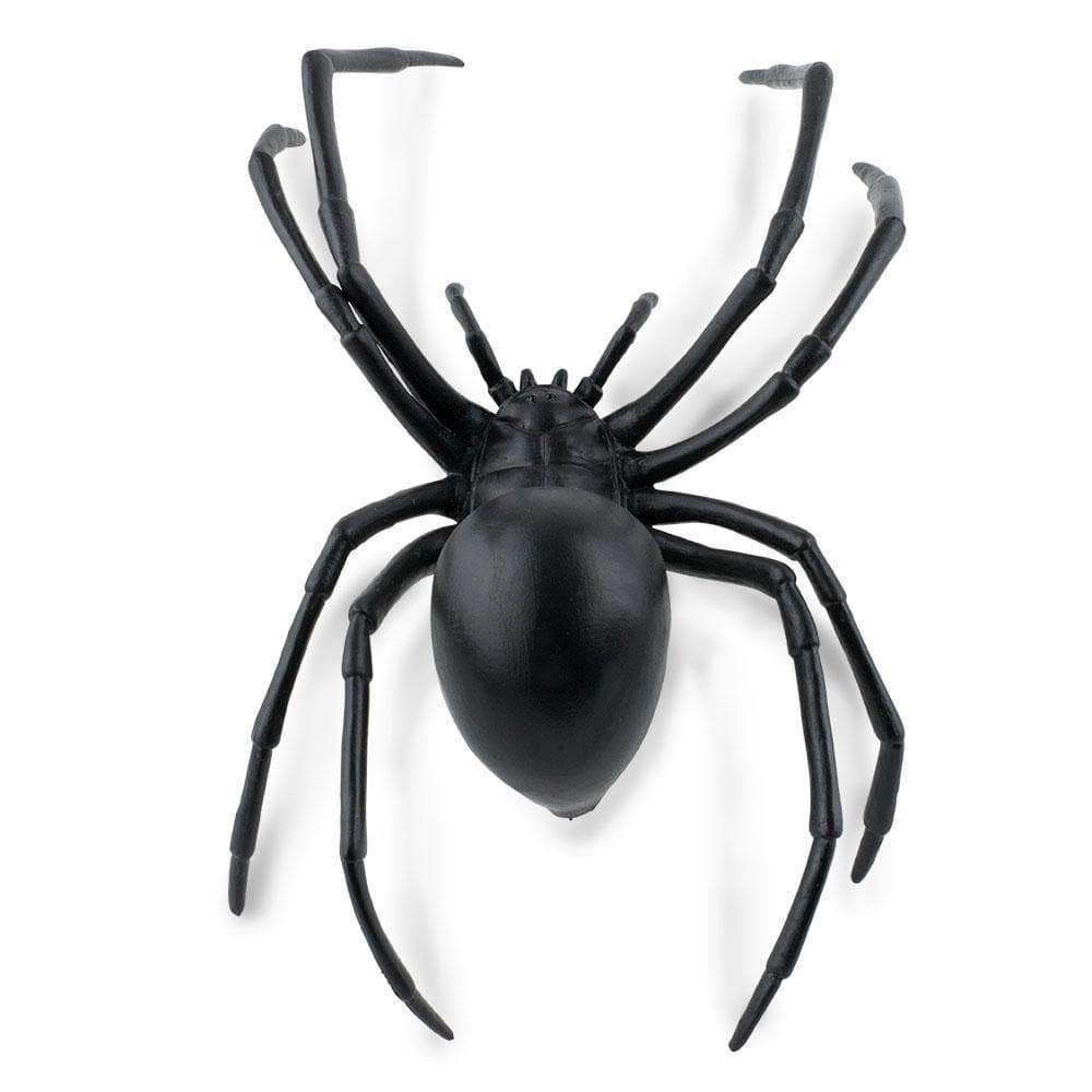 Safari Ltd. - Black Widow Spider Kids Toy Figure