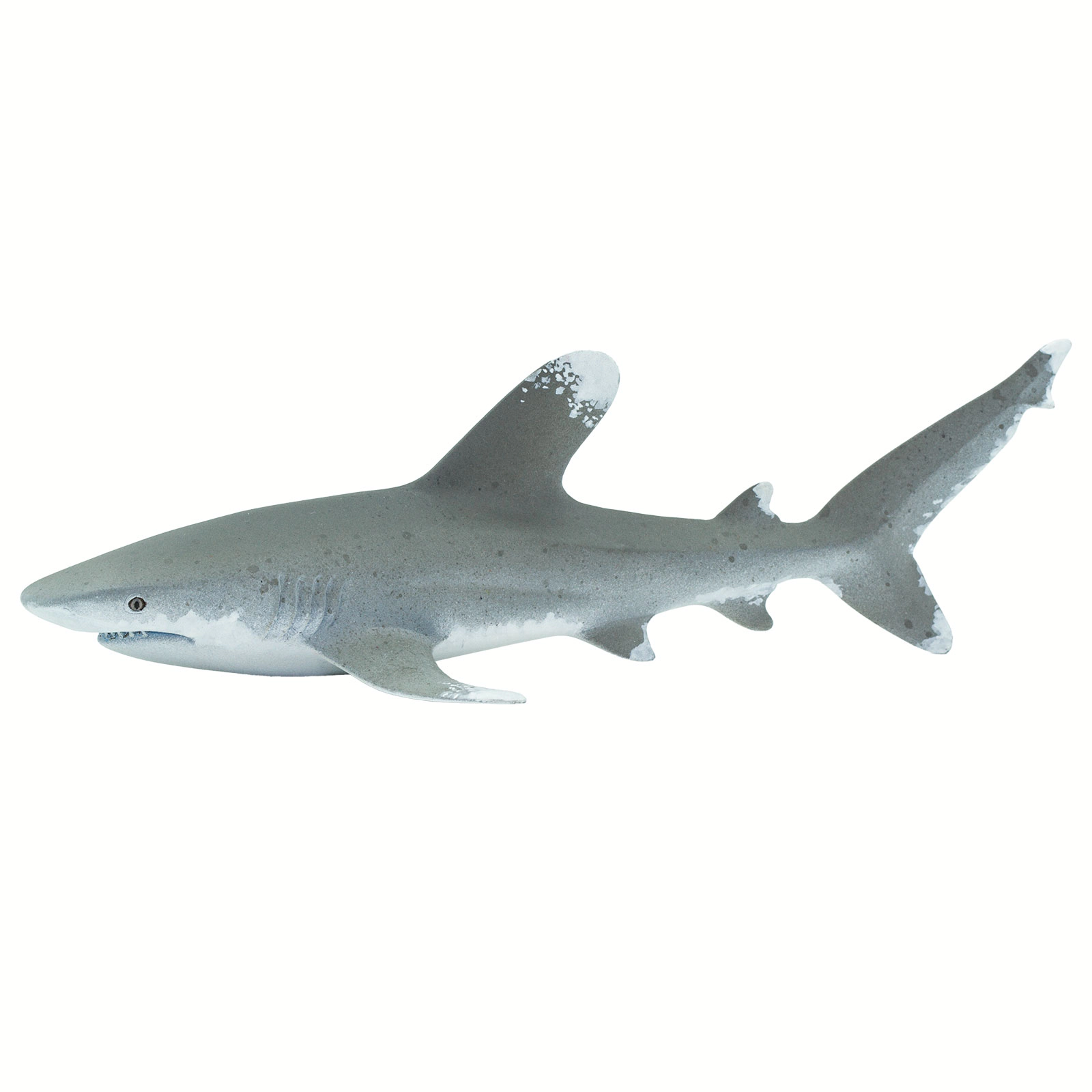 Safari Ltd. - Oceanic Whitetip Shark Kids Toy Figure