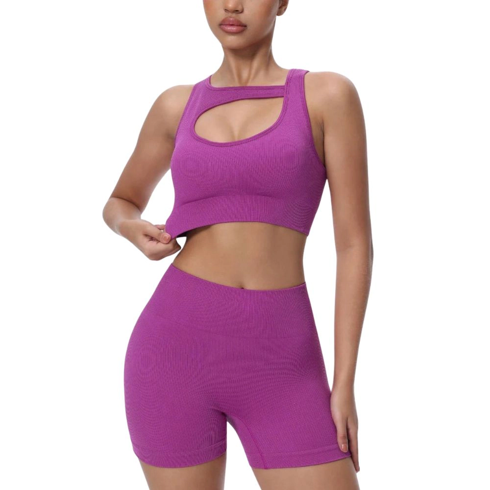Sol Living Womens Seamless Yoga Set Two-Piece High Elastic Moisture Wicking Sports