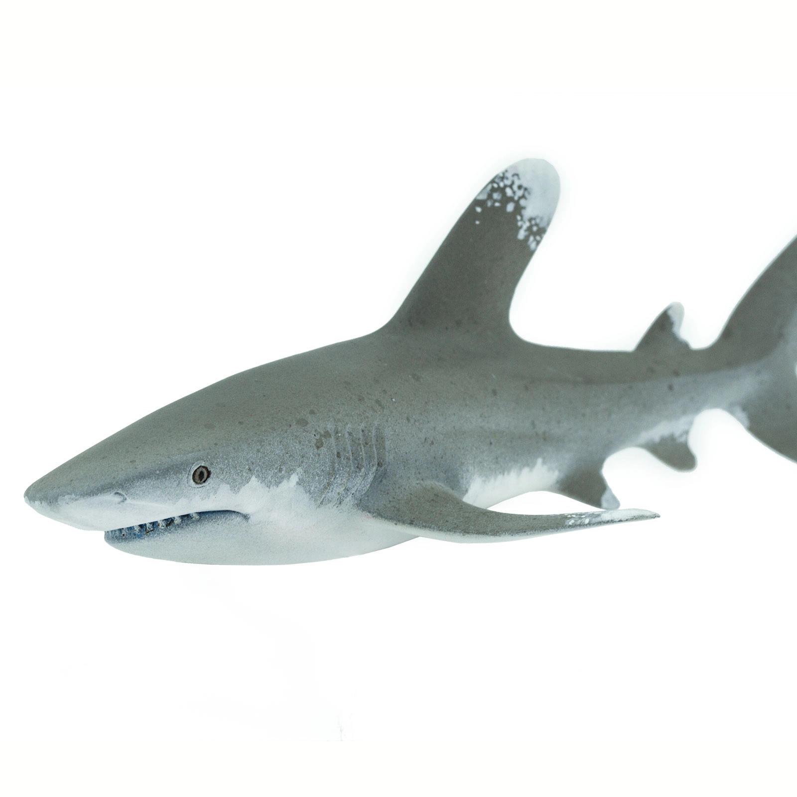 Safari Ltd. - Oceanic Whitetip Shark Kids Toy Figure