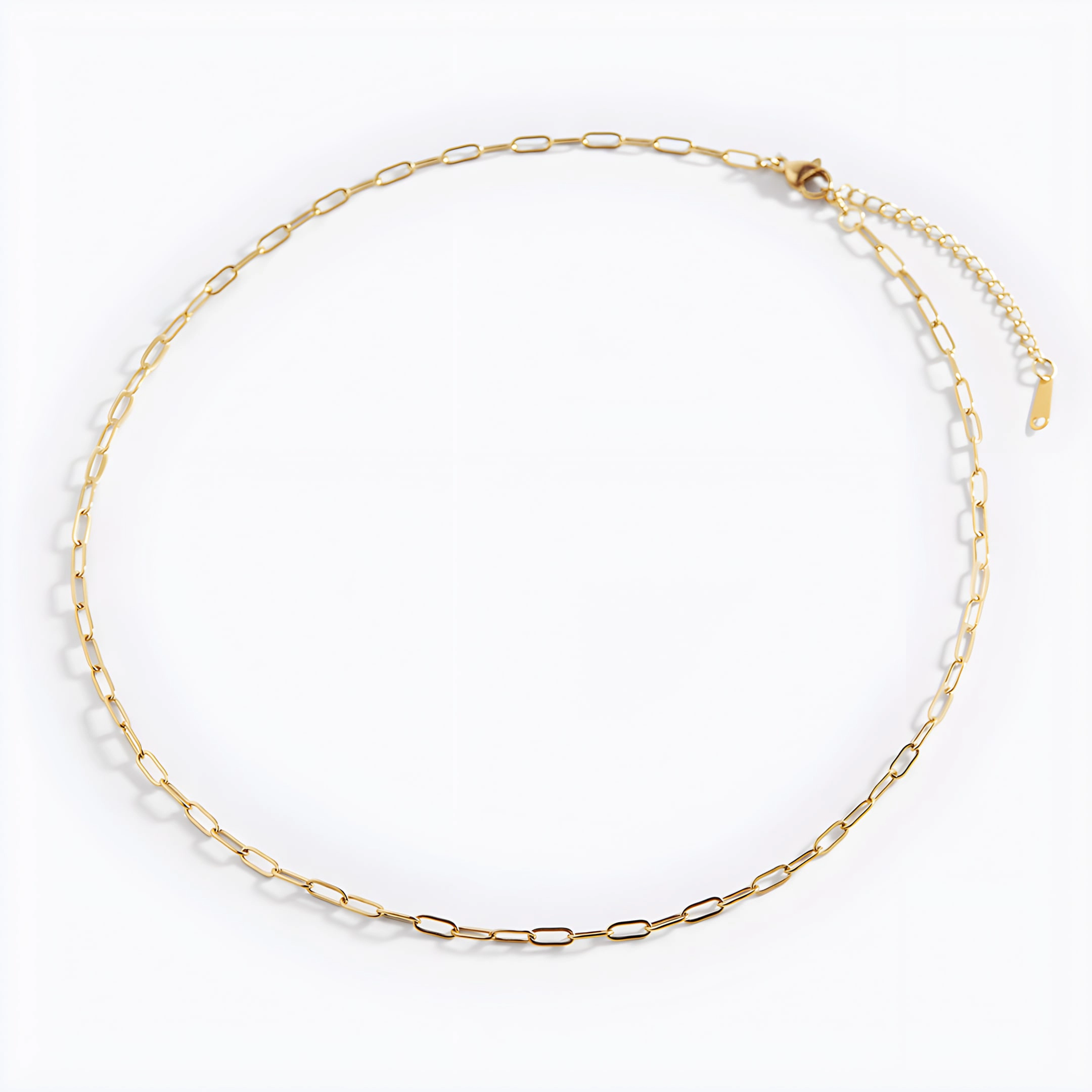 Mint & Lily Women's Thin Paperclip Chain Necklace
