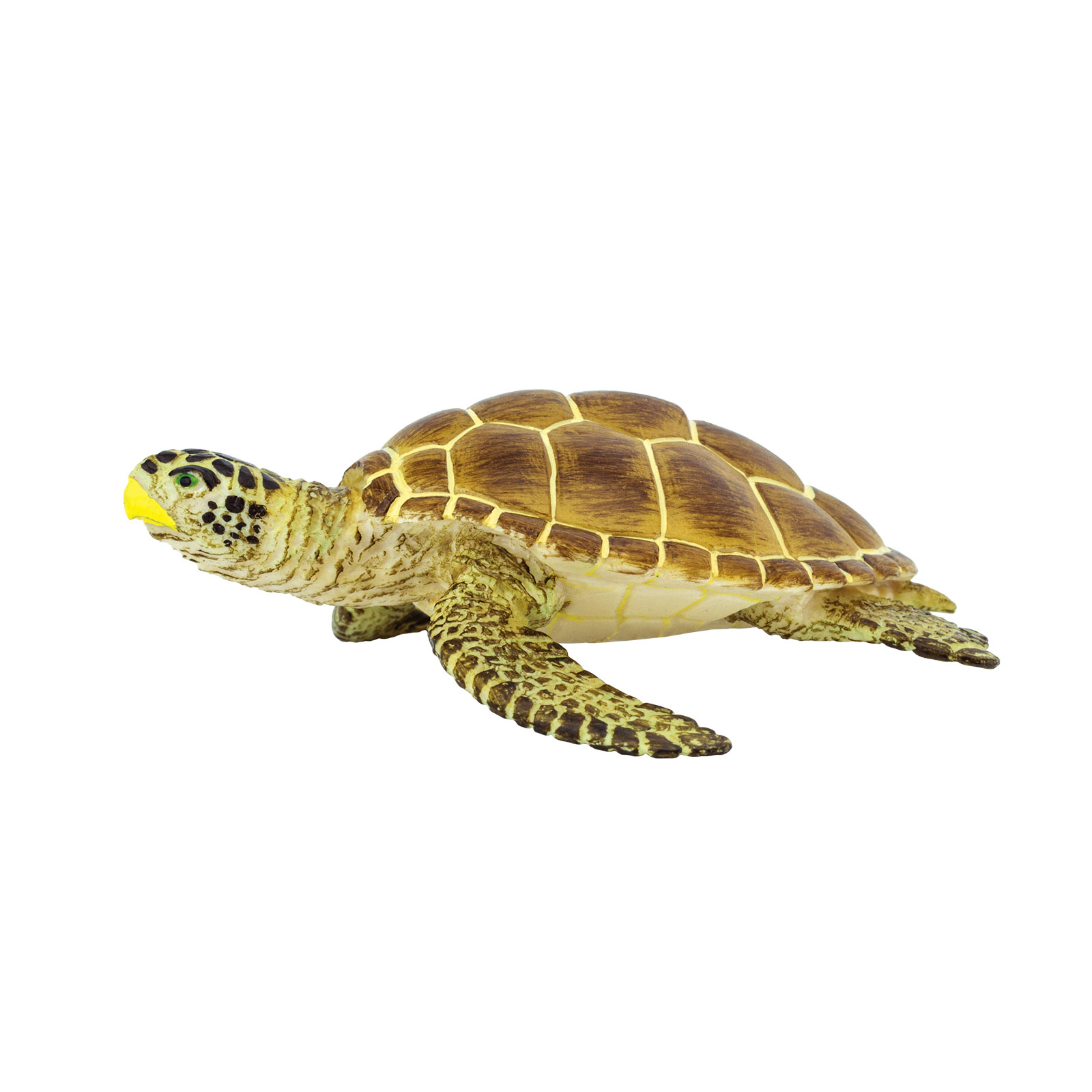 Safari Ltd. - Loggerhead Turtle Kids Toy Figure