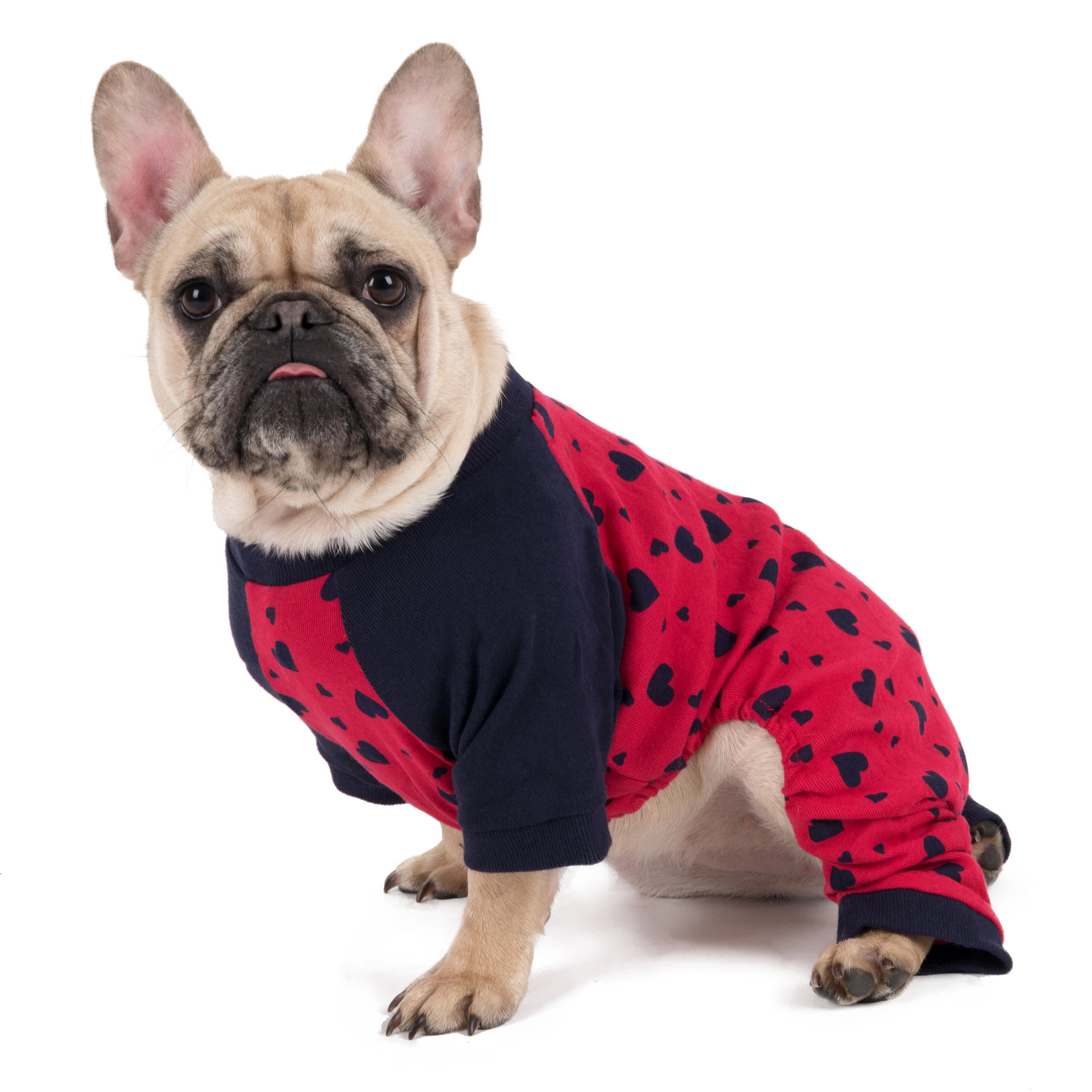 Leveret Dog Cotton Navy Hearts Valentine Pajamas