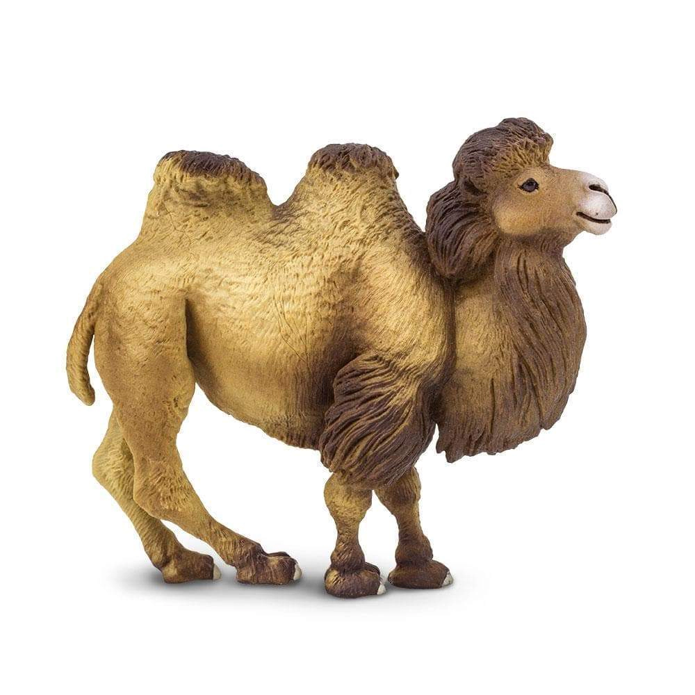 Safari Ltd. - Bactrian Camel Kids Toy Figure