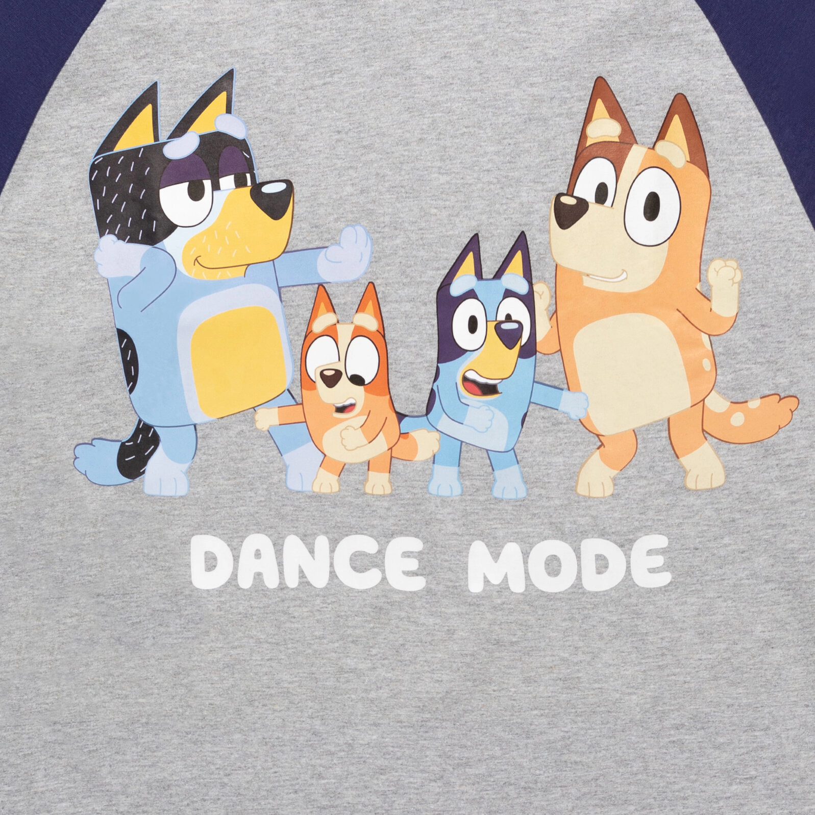 Bluey Matching Family Long Sleeve Raglan Tee