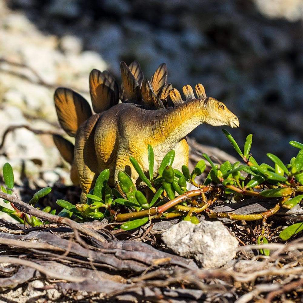 Safari Ltd. - Stegosaurus Kids Prehistoric/Dinosaur Toy Figure