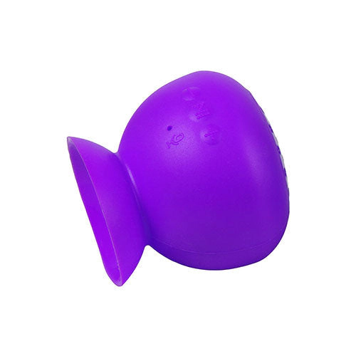 GBruno Waterproof Wireless Speaker With Suction Cup