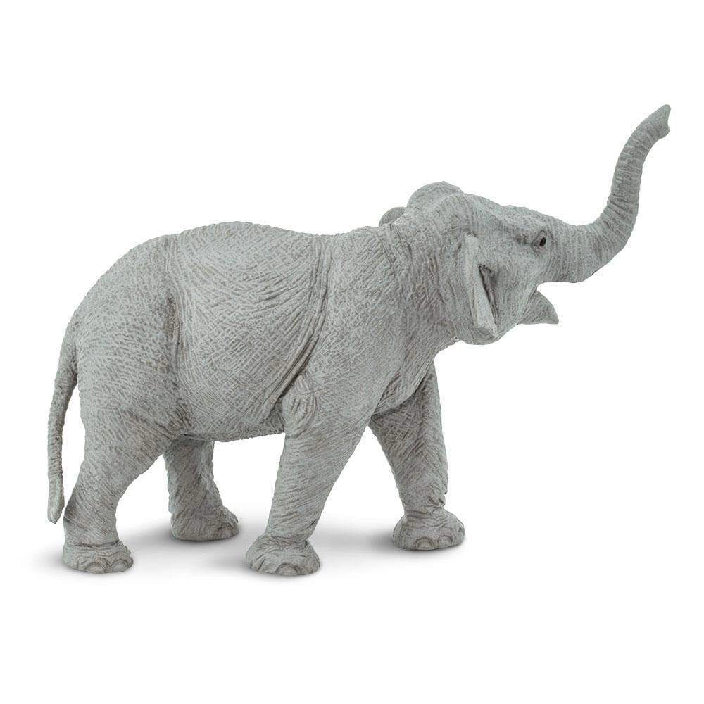 Safari Ltd. - Asian Elephant Kids Toy Figure