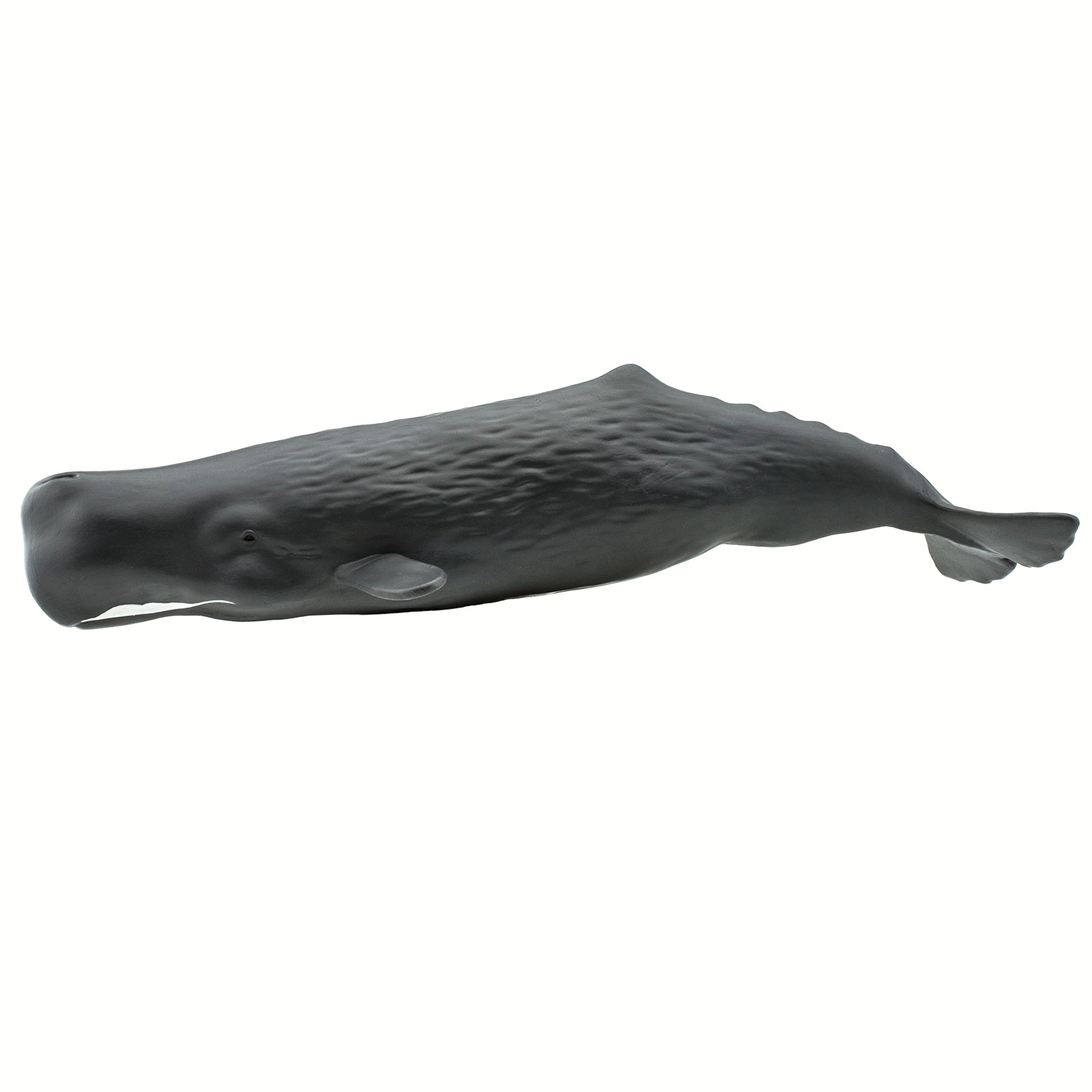 Safari Ltd. - Sperm Whale Kids Toy Figure