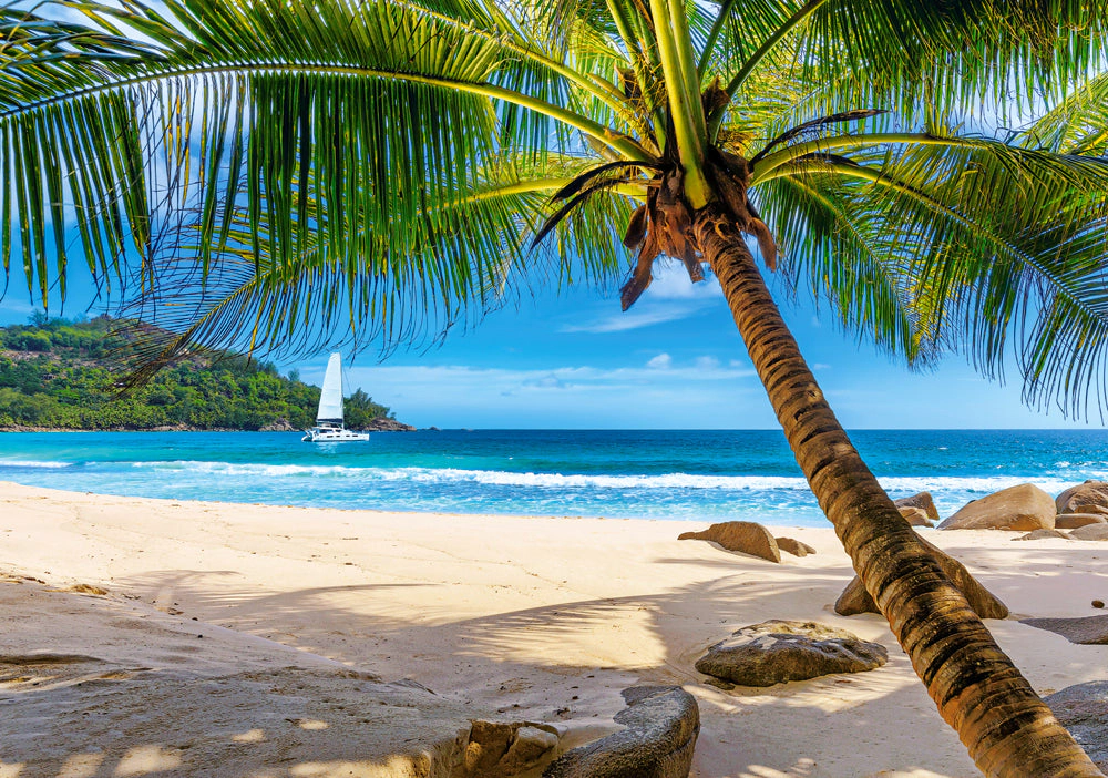 CASTORLAND 500 Piece Jigsaw Puzzles, Holidays in Seychelles, Tropical beach, Landscape puzzles,  Adult Puzzle, B-53827