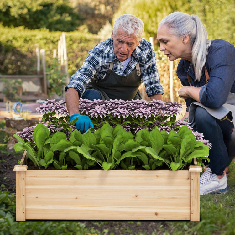 Hivvago 40" x 40" Outdoor Wood Raised Garden Bed