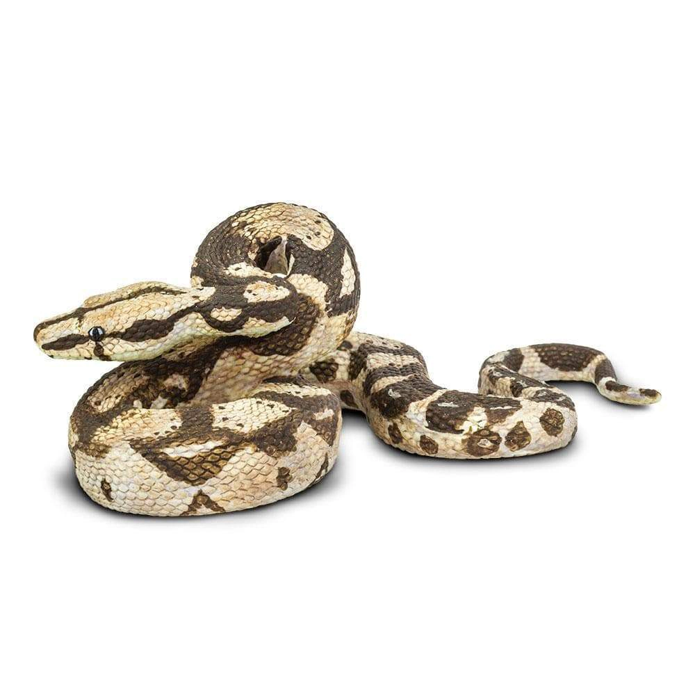Safari Ltd. - Boa Constrictor Kids Toy Figure
