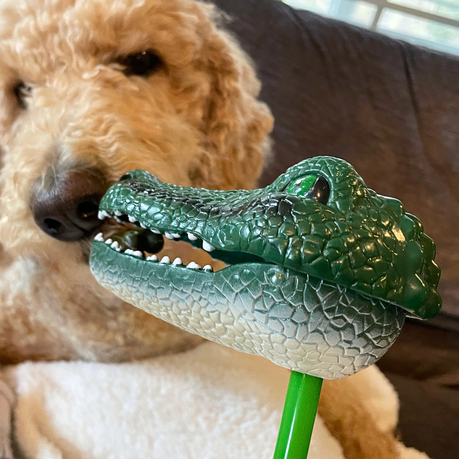 Safari Ltd. - Alligator Snapper - Hand-Operated 18" Grabber Toy for Kids