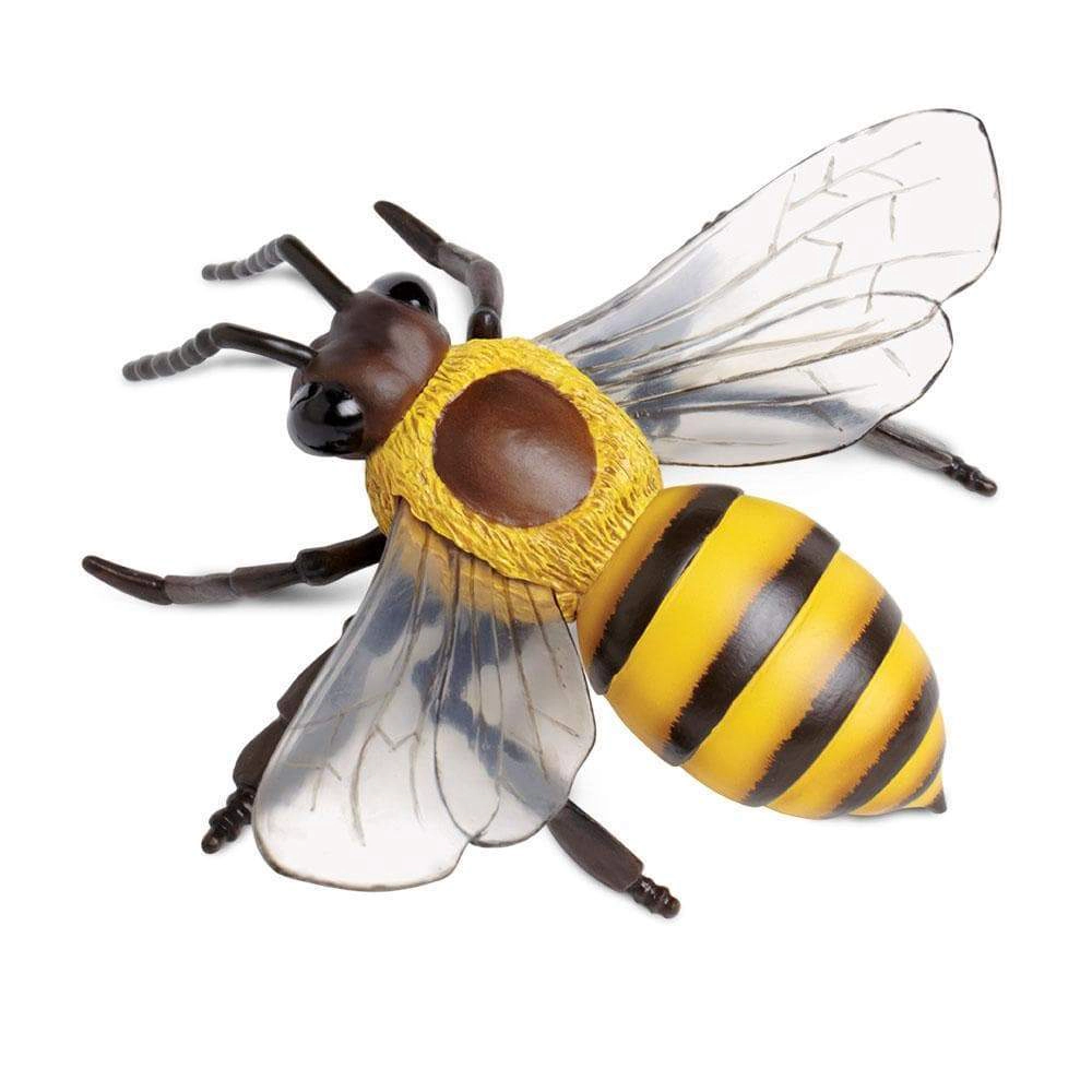 Safari Ltd. - Honey Bee Kids Toy Figure