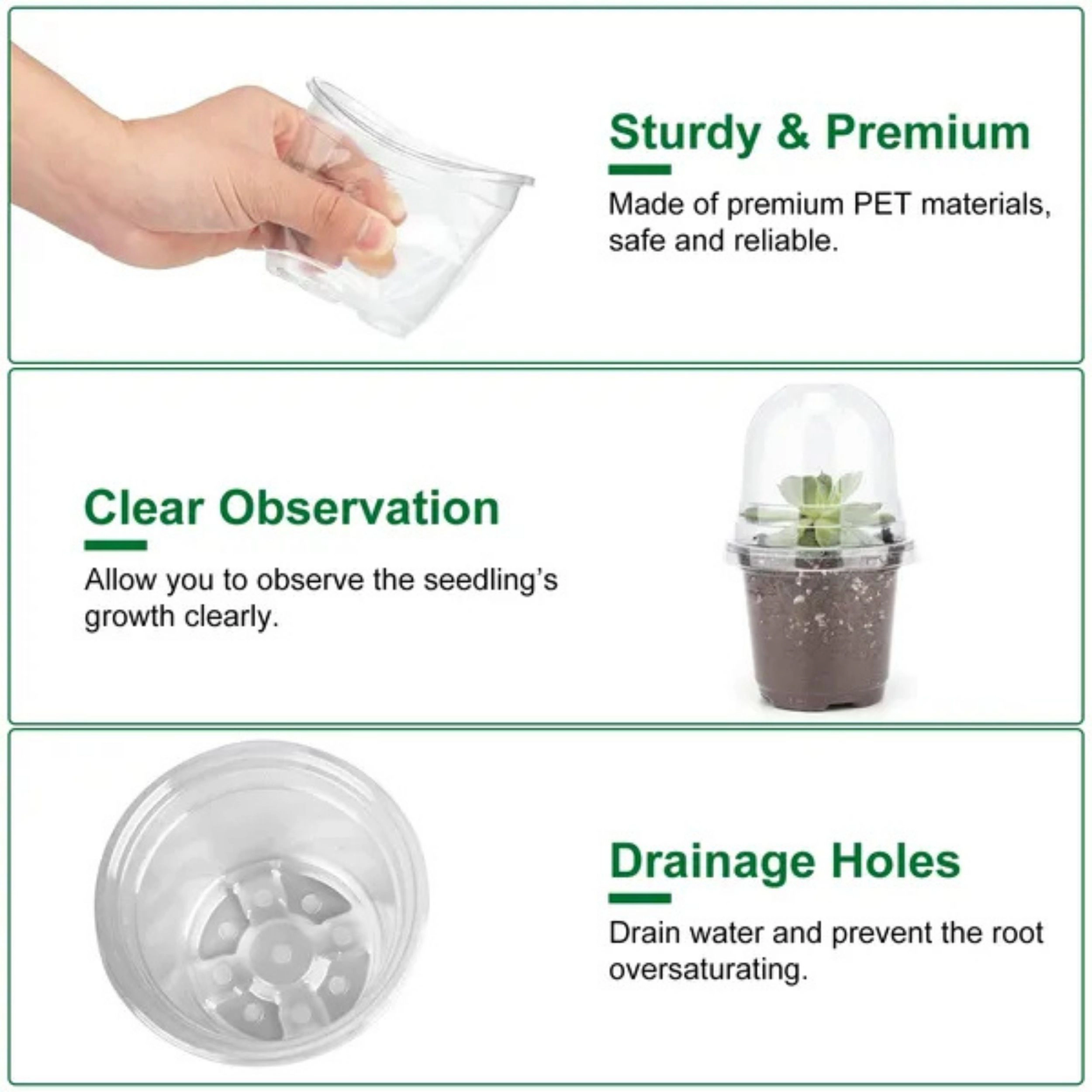 SS Design 30 Piece Clear PET Plant Nursery Pots with Dome and Drainage Holes